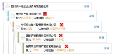 四川川中經(jīng)實(shí)業(yè)投資有限責(zé)任公司的投資管理策略與實(shí)踐